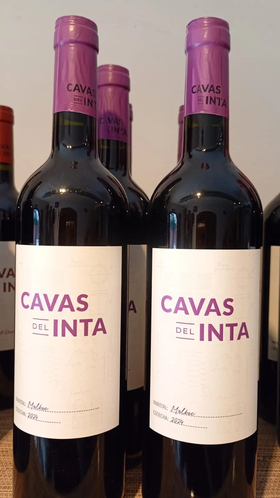 VINO TINTO CAVAS DEL INTA MALBEC 2024