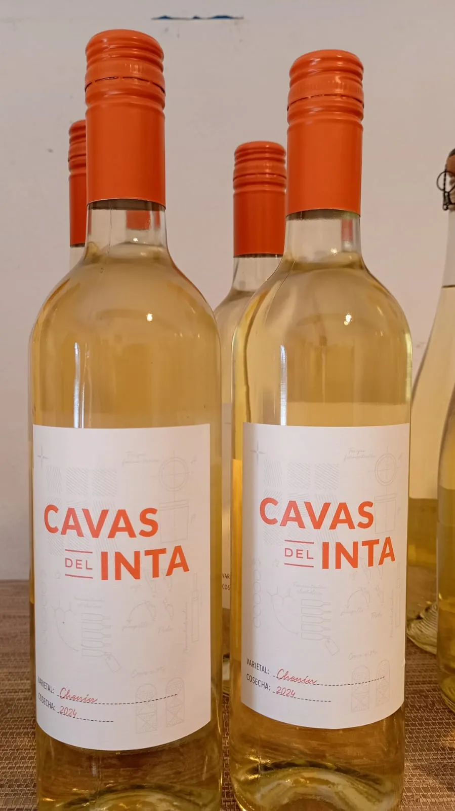 VINO BLANCO CHENIN CAVAS DEL INTA 2024