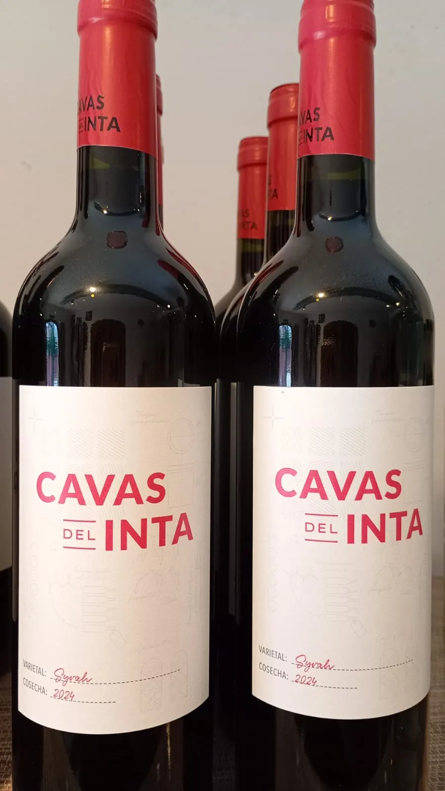 VINO TINTO SYRAH CAVAS DEL INTA 2024