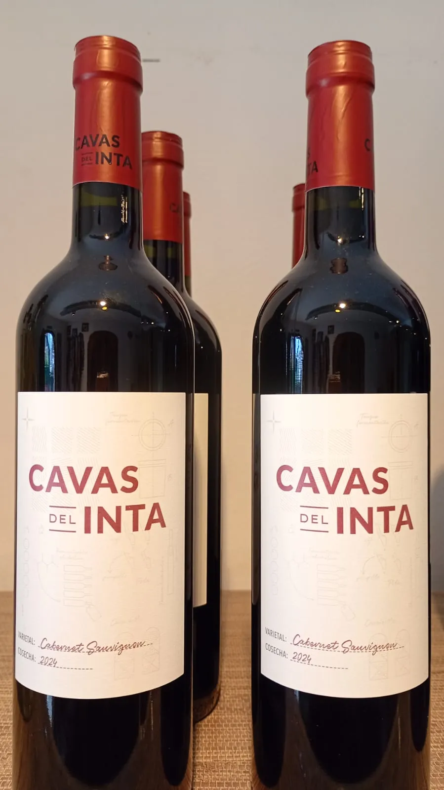VINO TINTO CABERNET SAUVIGNON 2024 CAVAS DEL INTA