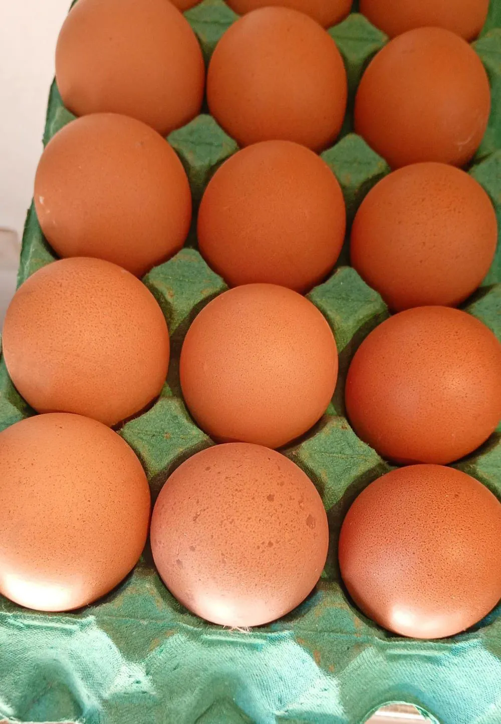 Docena Huevos (12 unidades)